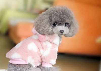 Мультивитаминные добавки Многофункциональные таблетки Кошки и собаки Природная иммунная поддержка и облегчение аллергии для собак 2