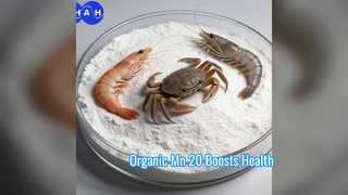 Органическая кормовая добавка Boost Animal Health Mn 20